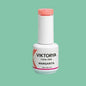 Geles Individuales Viktorya 15ml