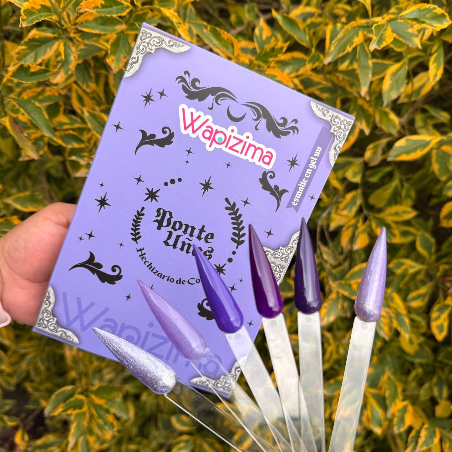 Gamas de Geles Colaboradores 6 piezas