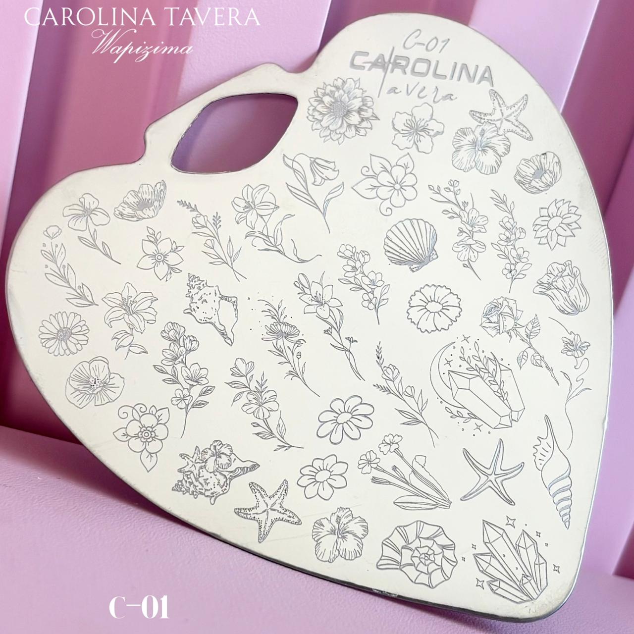 Placas Carolina Tavera