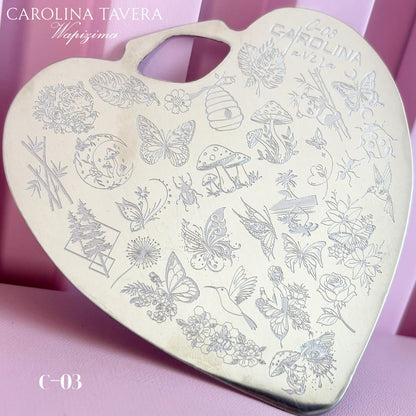 Placas Carolina Tavera