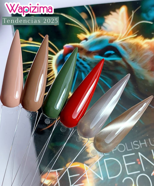 Gamas de Geles Polish 6 piezas